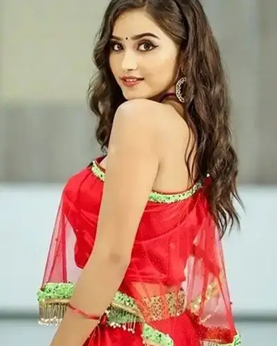 Call Girls Service Manuguru